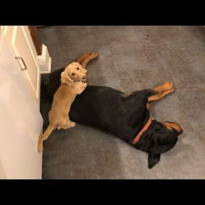 Meet your Posher, Michele